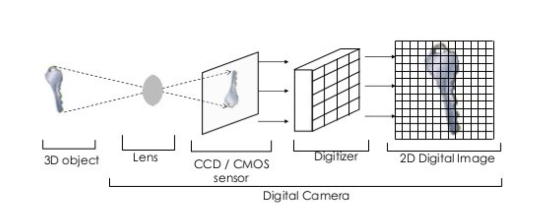 From Pixels to Insights: A Comprehensive Guide to Image Processing in ...