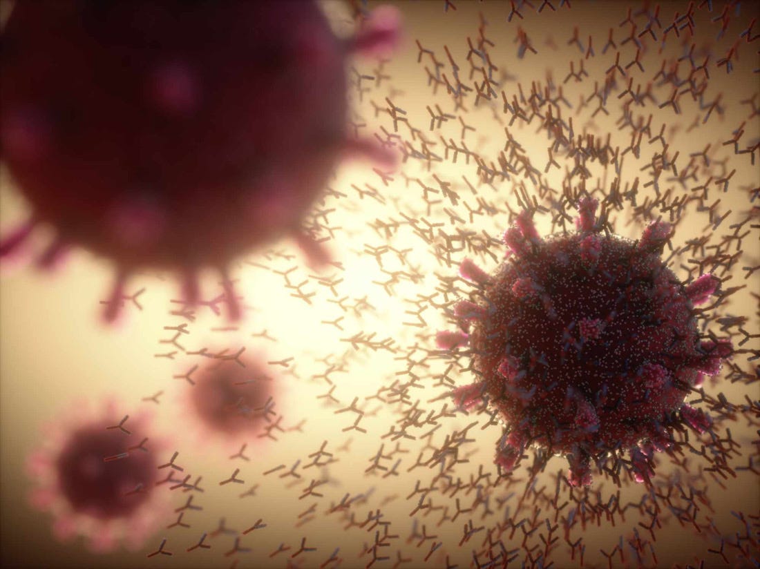 Introduction To Antigen