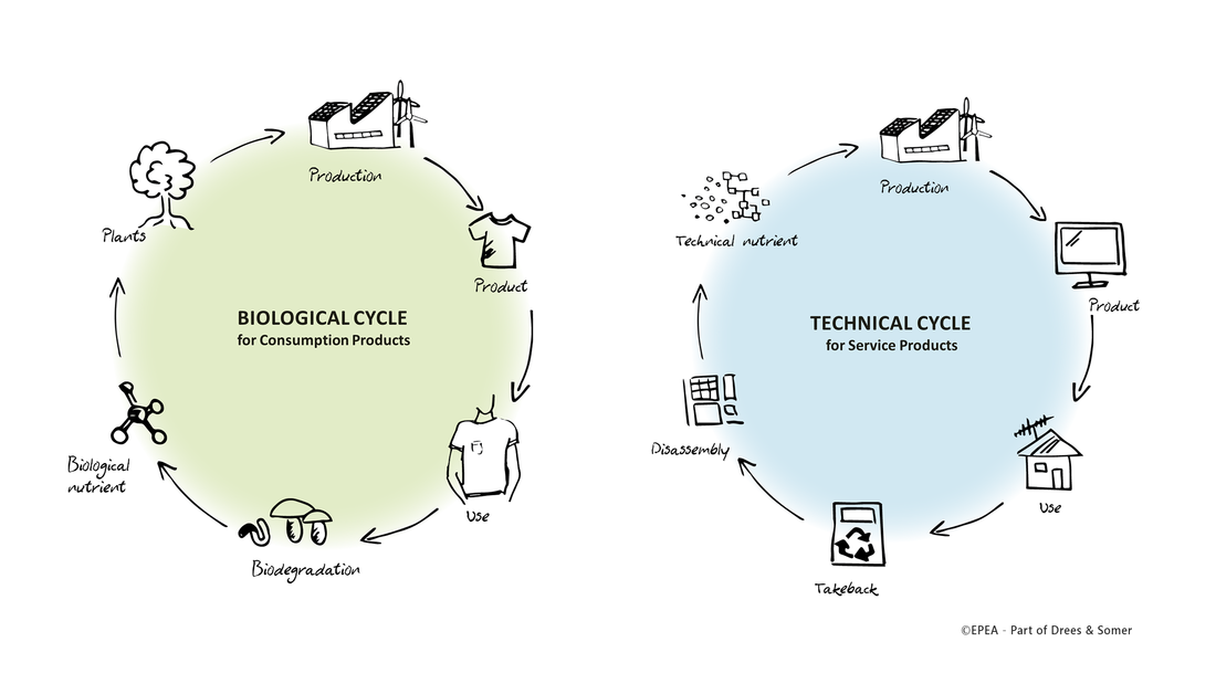 Cradle to Cradle Design.. A circular economy aims to build… by Disha