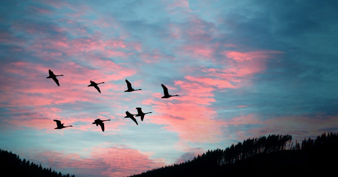 Why it’s important to live in a positive environment? | by Chris Martin ...