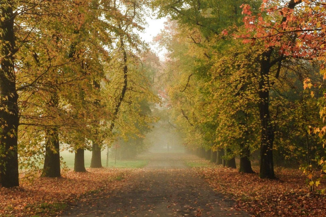 La magia dell’autunno in bici nei parchi che circondano Milano
