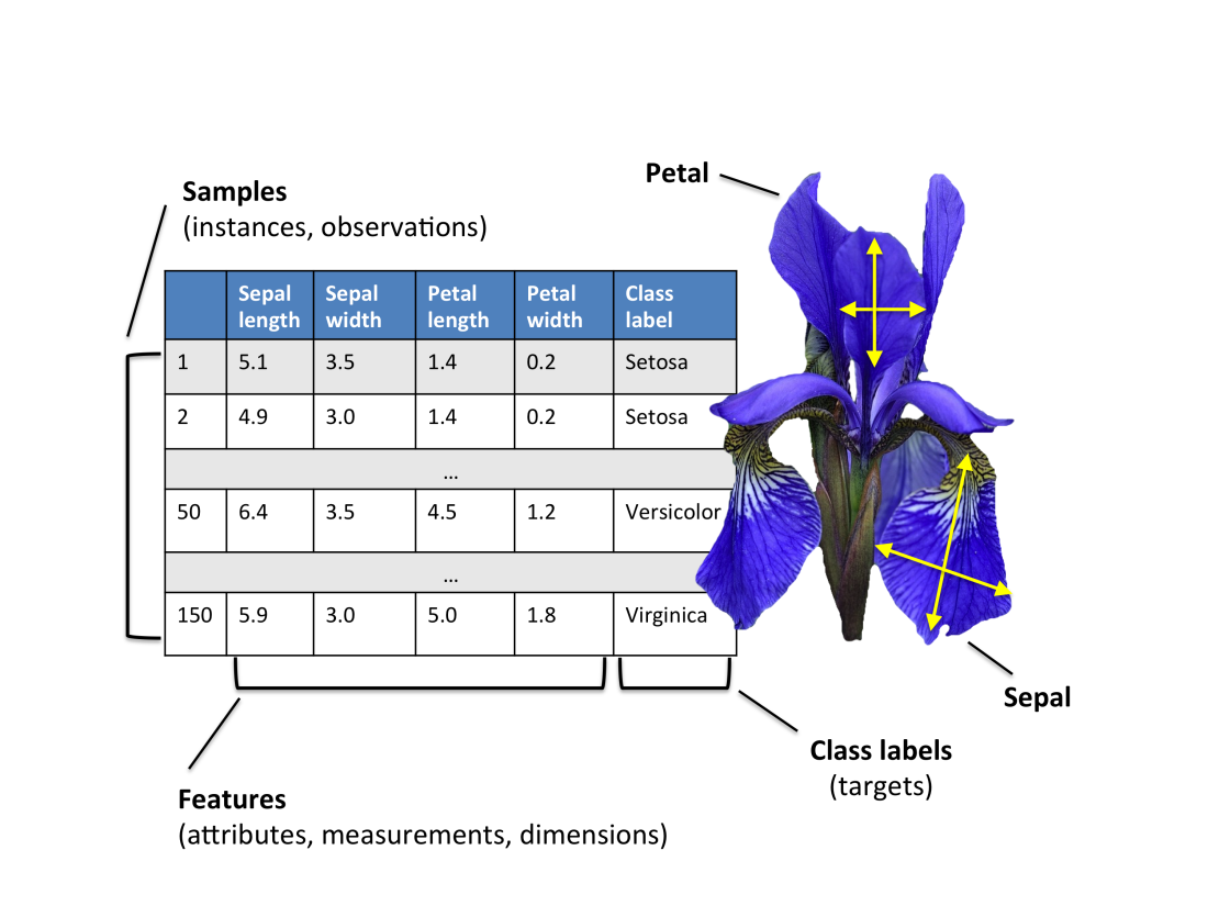 Exploratory Data Analysis Univariate analysis of Iris Data set by