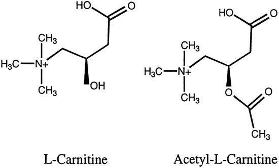 does acetyl l carnitine break a fast ALCAR: the #1 Fat Loss Supplement You Should Be Using! | by Greg James