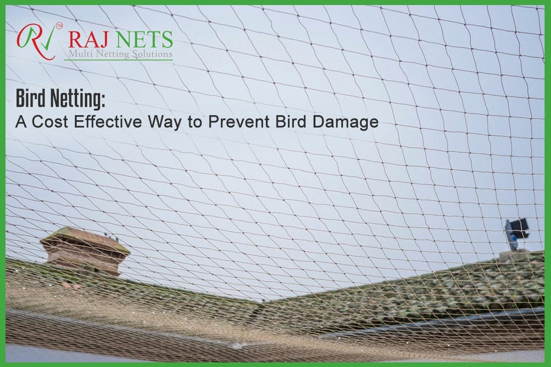 Bird netting A Cost Effective Way to Prevent Bird Damage by Raj Nets