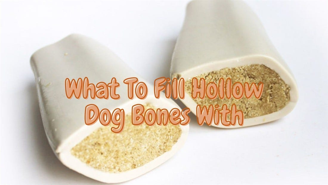 What To Fill Hollow Dog Bones With by Pet Union Medium