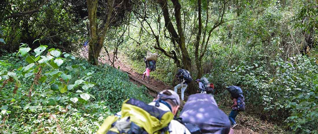 The Umbwe Route: Kilimanjaro’s Least-Traveled Path | Kilimanjaro Sunrise