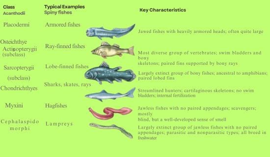 Fish, Definition, Species, Classification, & Facts