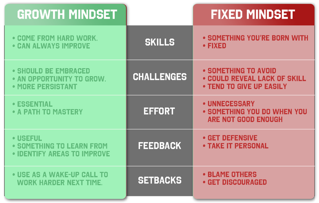 The Mindset — Fixed Mindset Vs Growth Mindset — A guide to making the ...