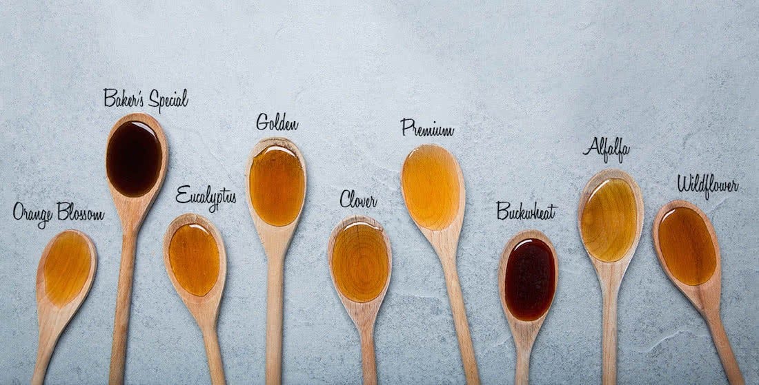 Liquid Gold What are the Different Types of Honey? by John Du Medium