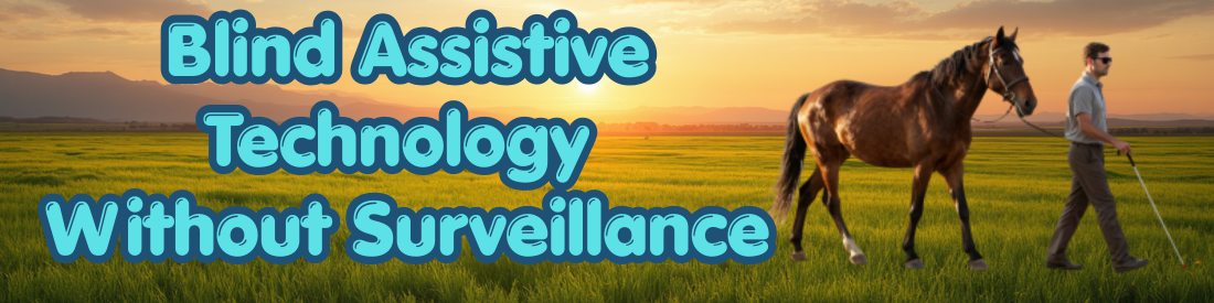 Blind Assistive Technology Without Surveillance