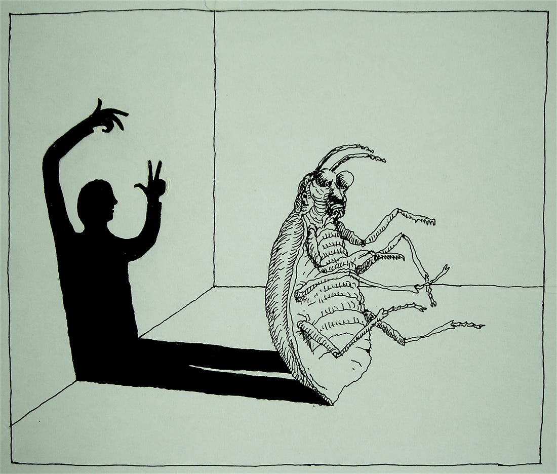 Metamorphosis Drawings Examples metamorphosis-drawings-examples