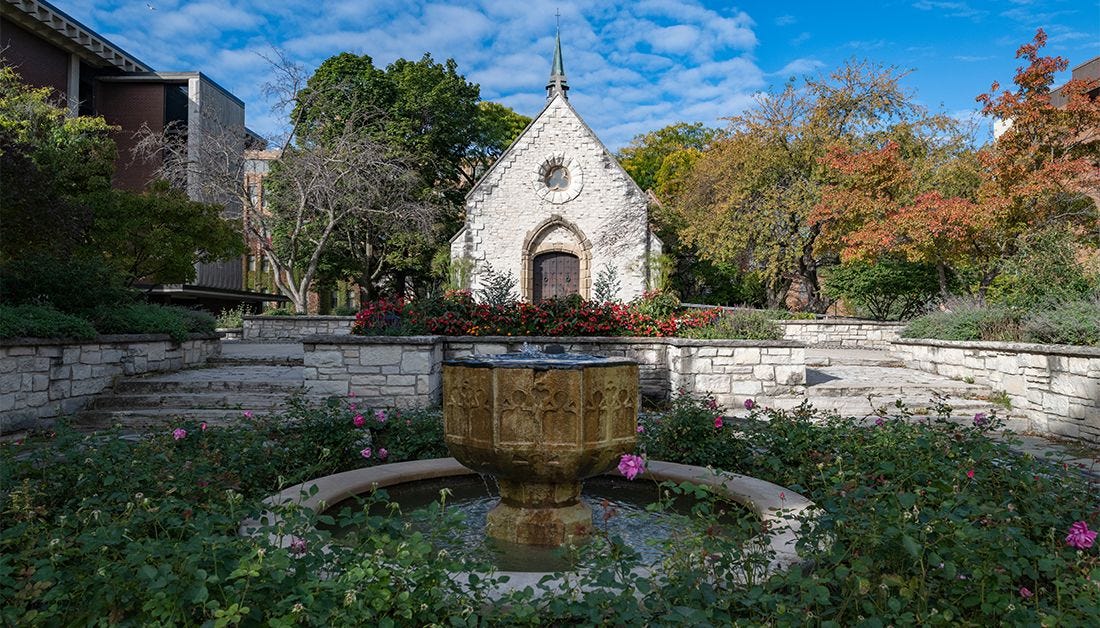 Marquette University on Instagram: Cheers to the Christmas season!  Marquette celebrates its annual tree lighting at the St. Joan of Arc Chapel  🎄 #WeAreMarquette