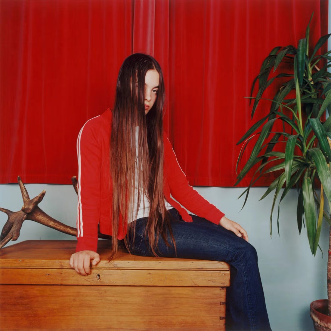 Sarah Jones, The Living Room (Curtain) (I), 2003. Courtesy of the artist and Maureen Paley gallery.