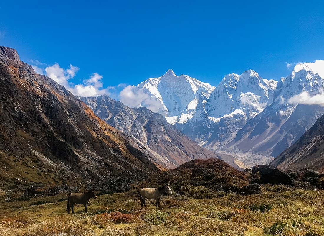 Unveiling the Majesty: Your Complete Guide to the Kanchenjunga Trek 