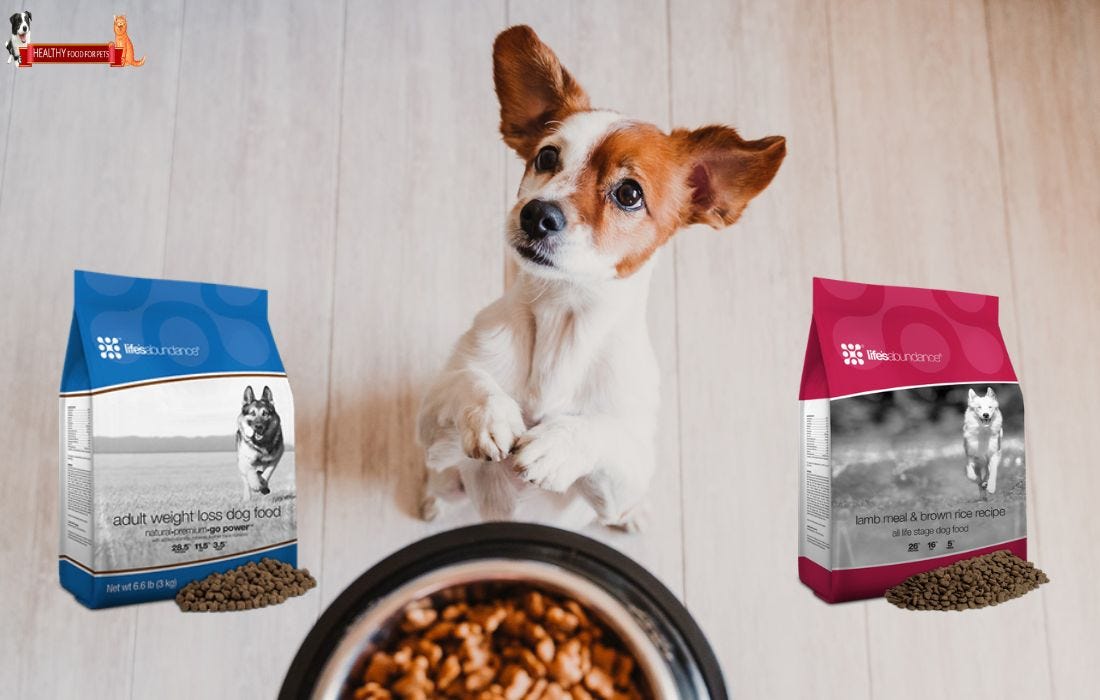 What are Some Common Ingredients in Pet Foods that You Should Avoid