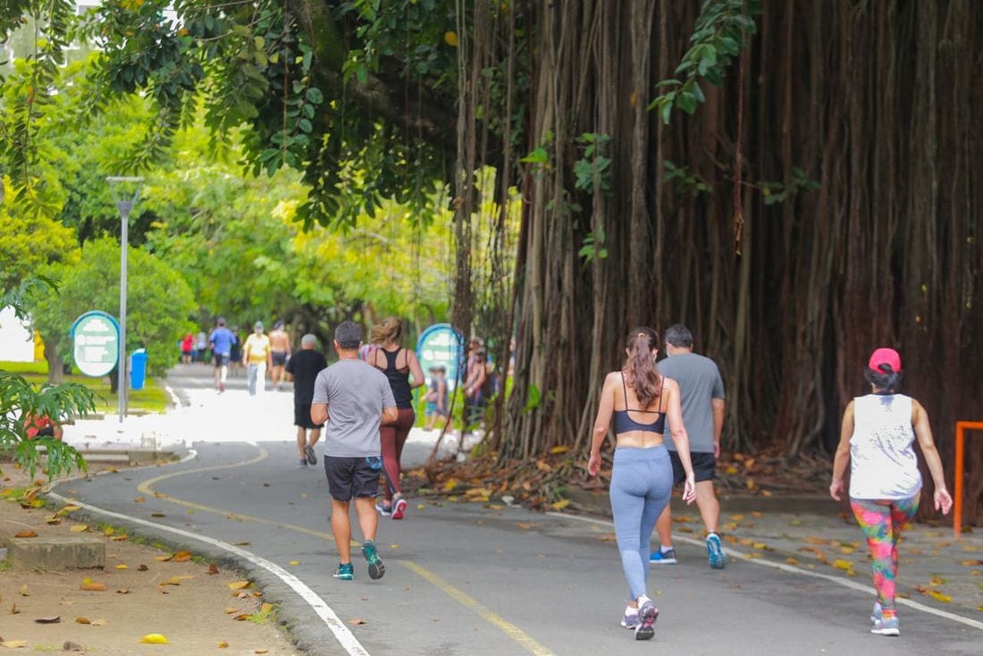A plenitude da vida numa caminhada de domingo