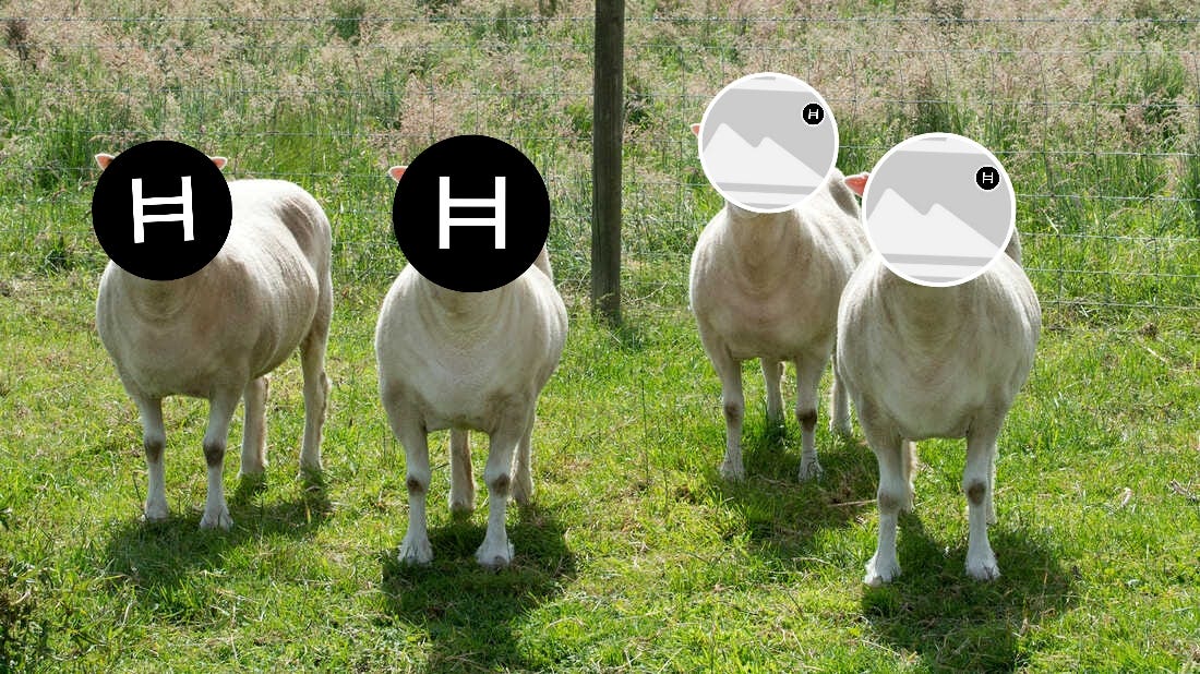Safeth’s Hbar Pegging: A Silent #Hedera Chain Fork with Privacy Advantages | by Rev Cynthia Pustelak Safeth Ministries | Coinmonks | Nov, 2023 Safeth’s Hbar Pegging: A Silent #Hedera Chain Fork with Privacy Advantages | by Rev Cynthia Pustelak Safeth Ministries | Coinmonks | Nov, 2023