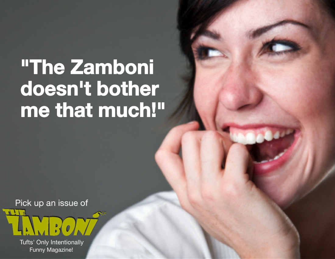 Note about the Zamboni. Who we are, what we do, and what this… by