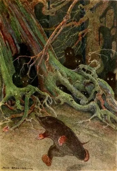 Post image 2