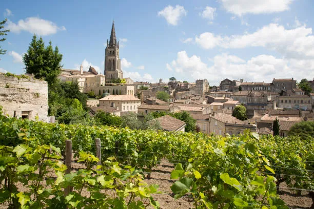 Saint Émilion Wine Tour