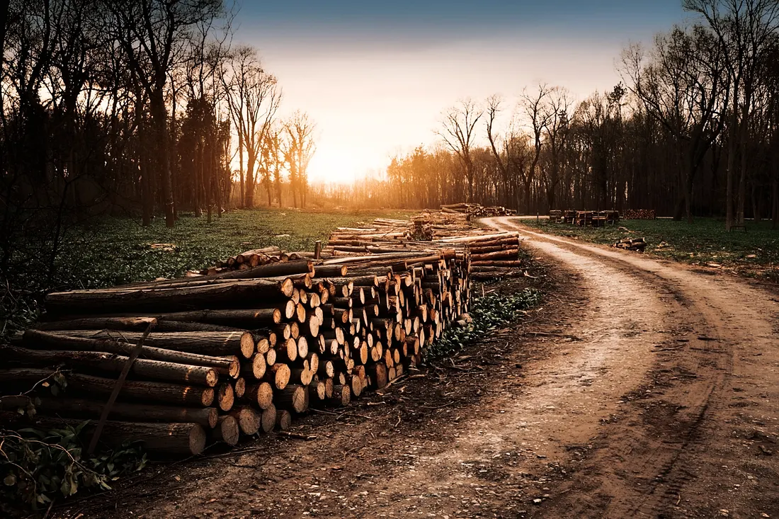 Entropy and the Earth