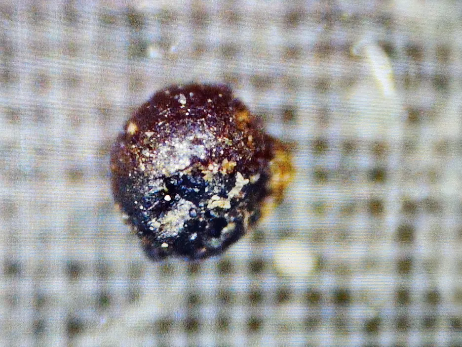 Kügelchen eines Meteoriten