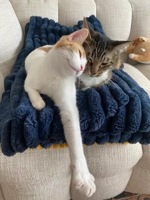 Jasper and Fofinho