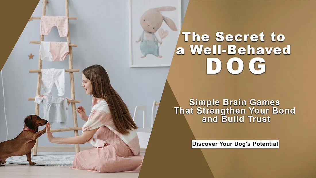 Dog Training License