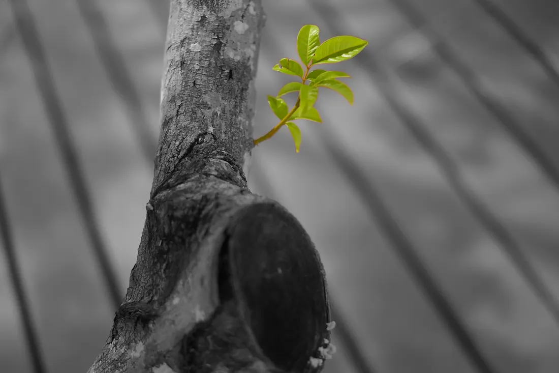 Capa do artigo no Medium