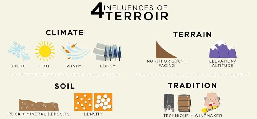 Factors influencing terroir
