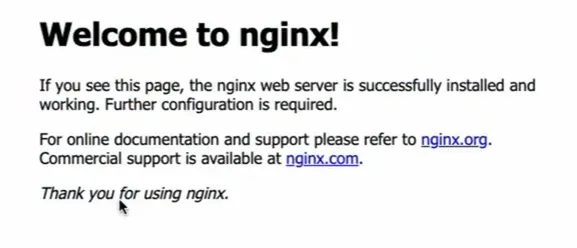 Nginx Verification Page