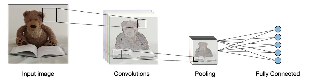 How Convolutional Neural Network (CNN) are trained