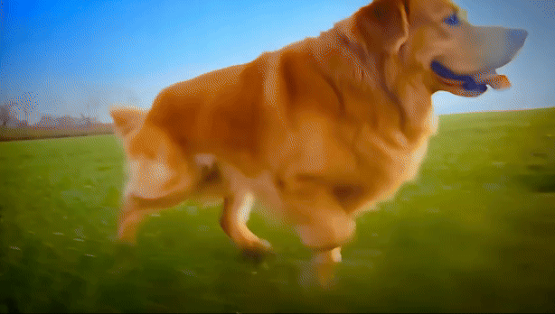 AI text to video mochi 1 artificialstudio fal.ai