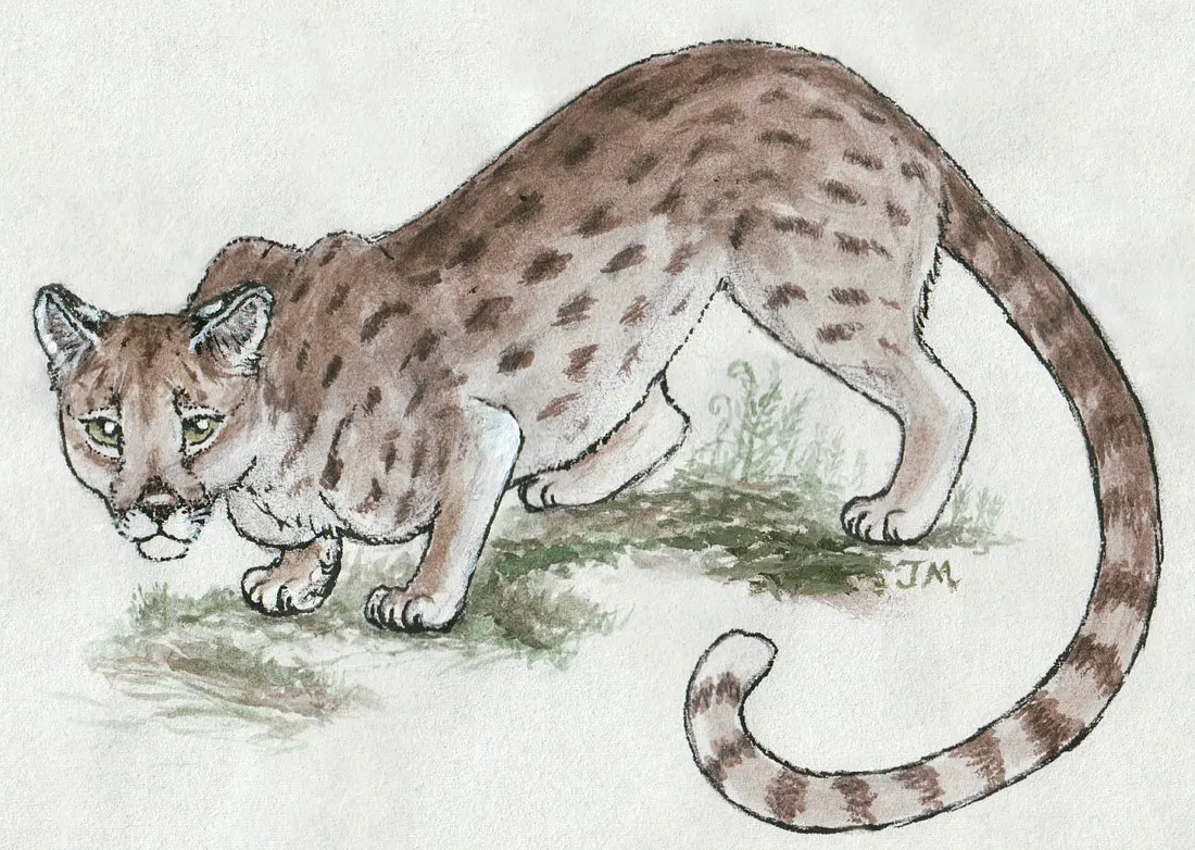Proailurus reconstruction. Cat-like animal.