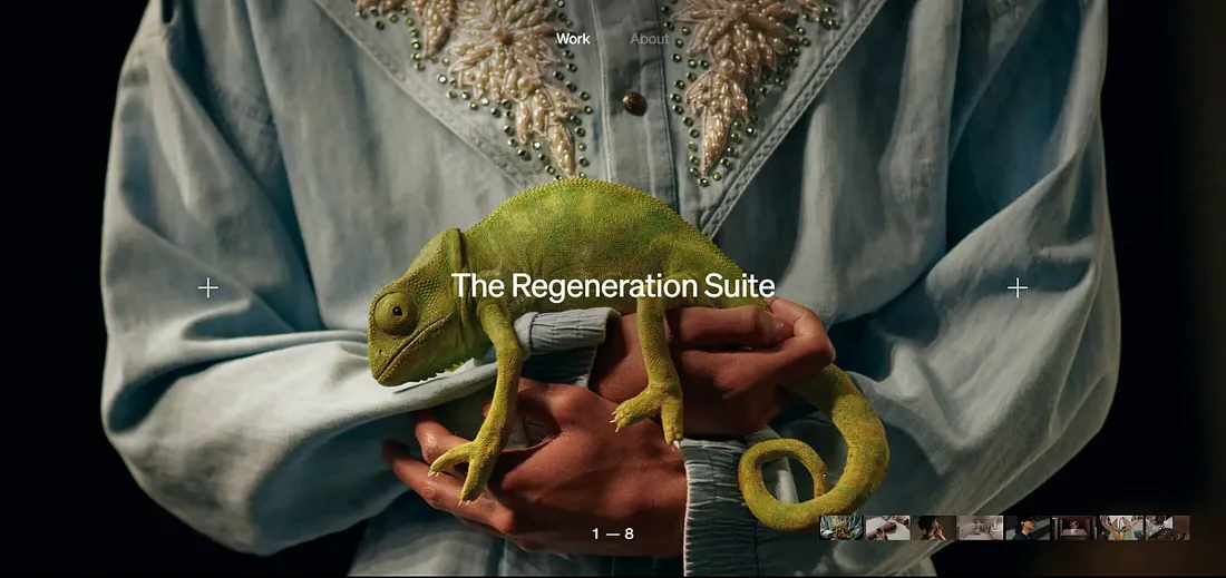 Camille Mormal's Portfolio