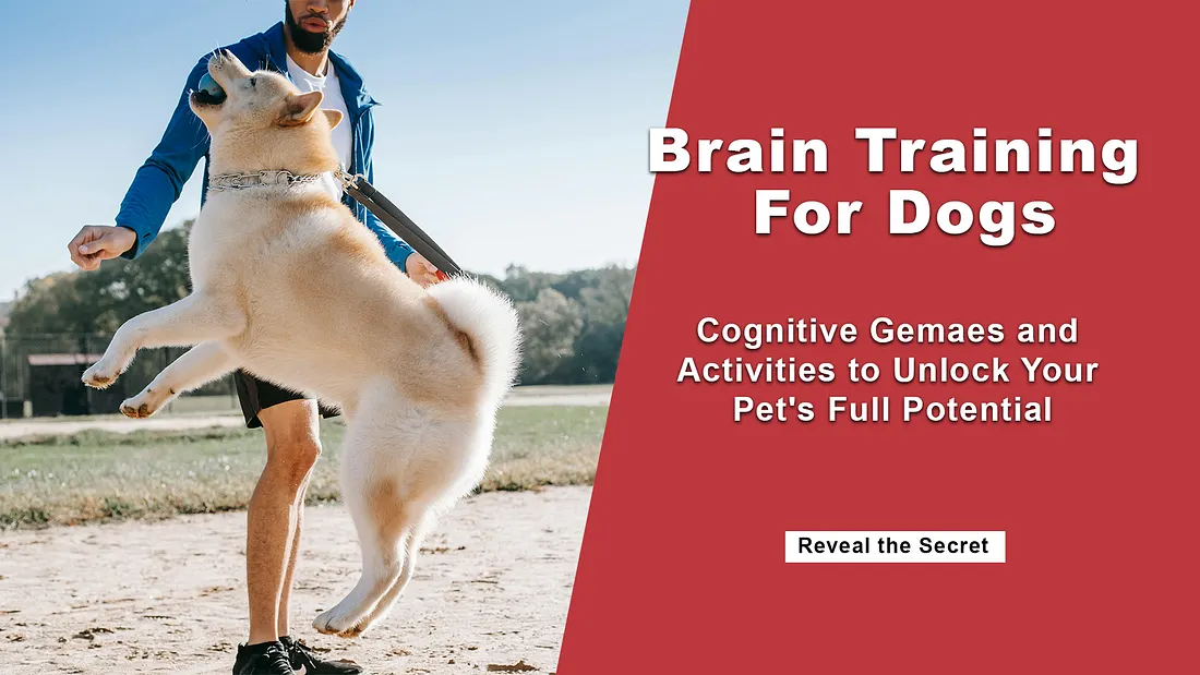 Dog Training License