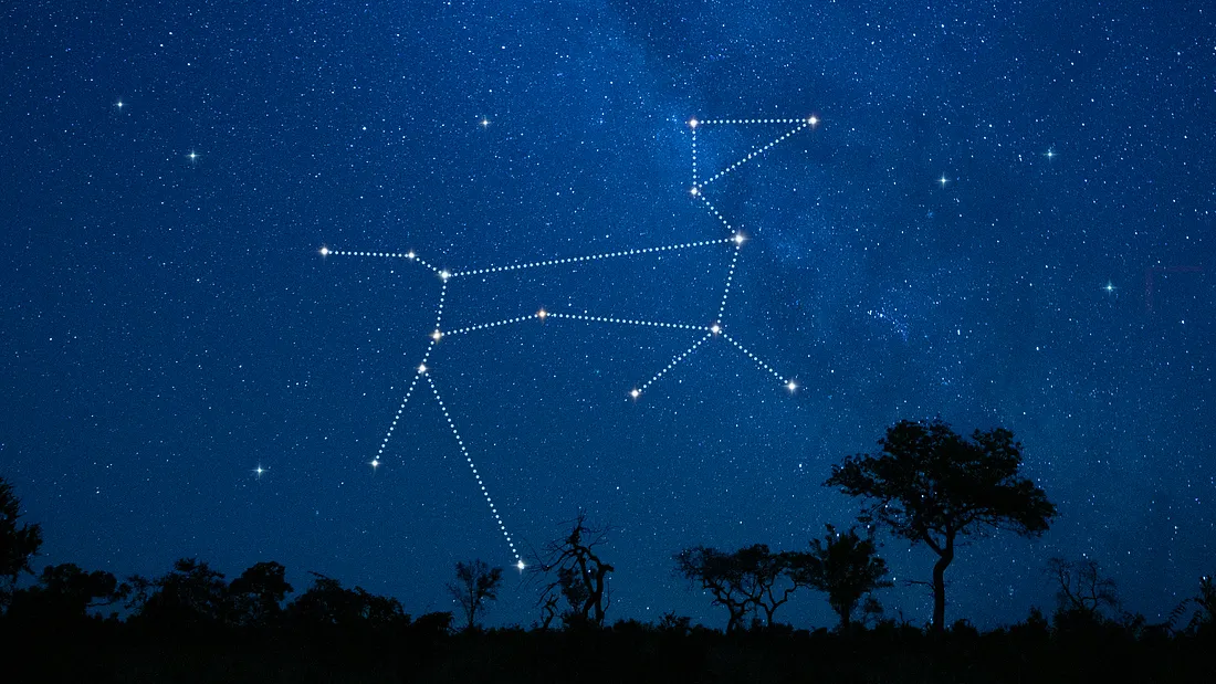 Orion