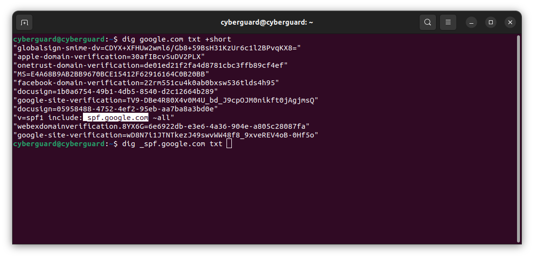 Manually Verifying Sender's Email with DIG and Subnet ...