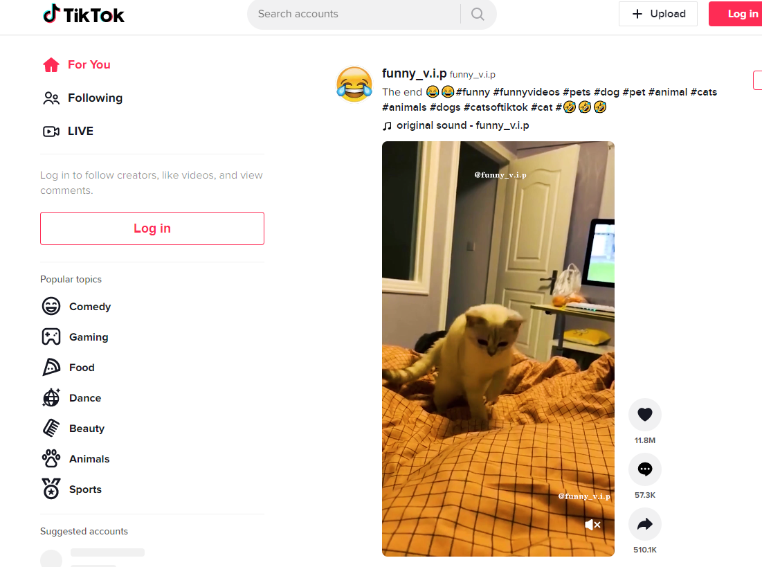 Tiktok View Bot Coding Tutorial Python