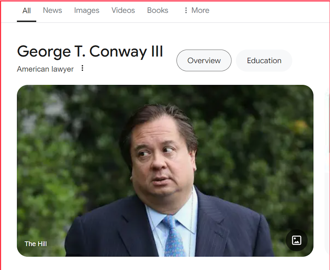 Getting Rid of Trump — George Conway has the Answers | by Tessa