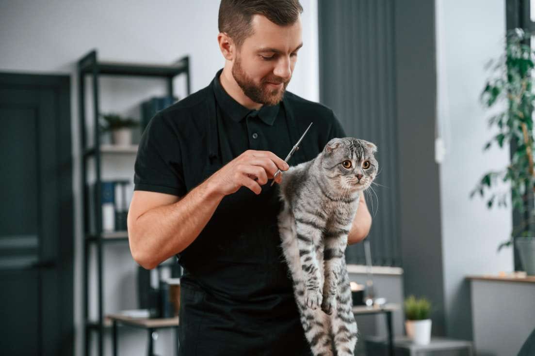 Natural pet grooming top