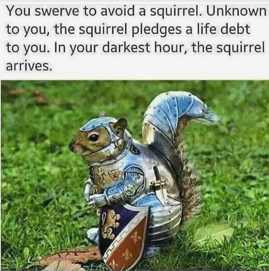 Squirrel Memes and Other Ways to Get People to Care  by Artemis Ward   Artemis Ward  Medium