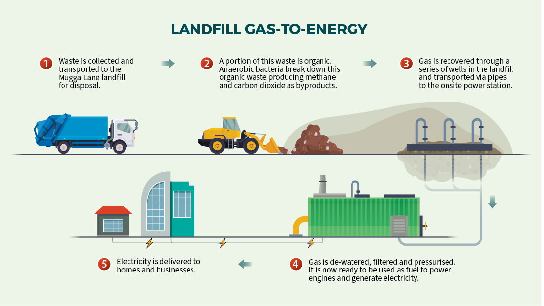 Turning Landfill Gas Into Electricity by Senna Chan Carusone Apr