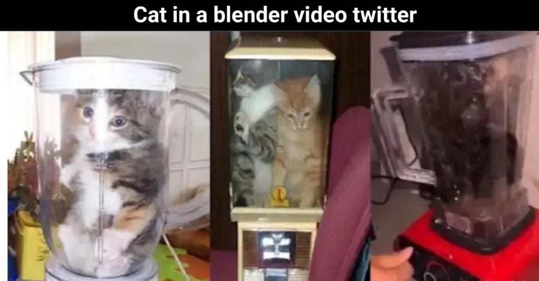 Watch Full Video { VIRAL } Cat In Blender Video Twitter Original — Full Video Cat In Blender