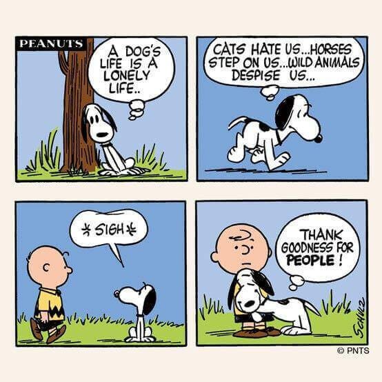 Snoopy cartoon discount