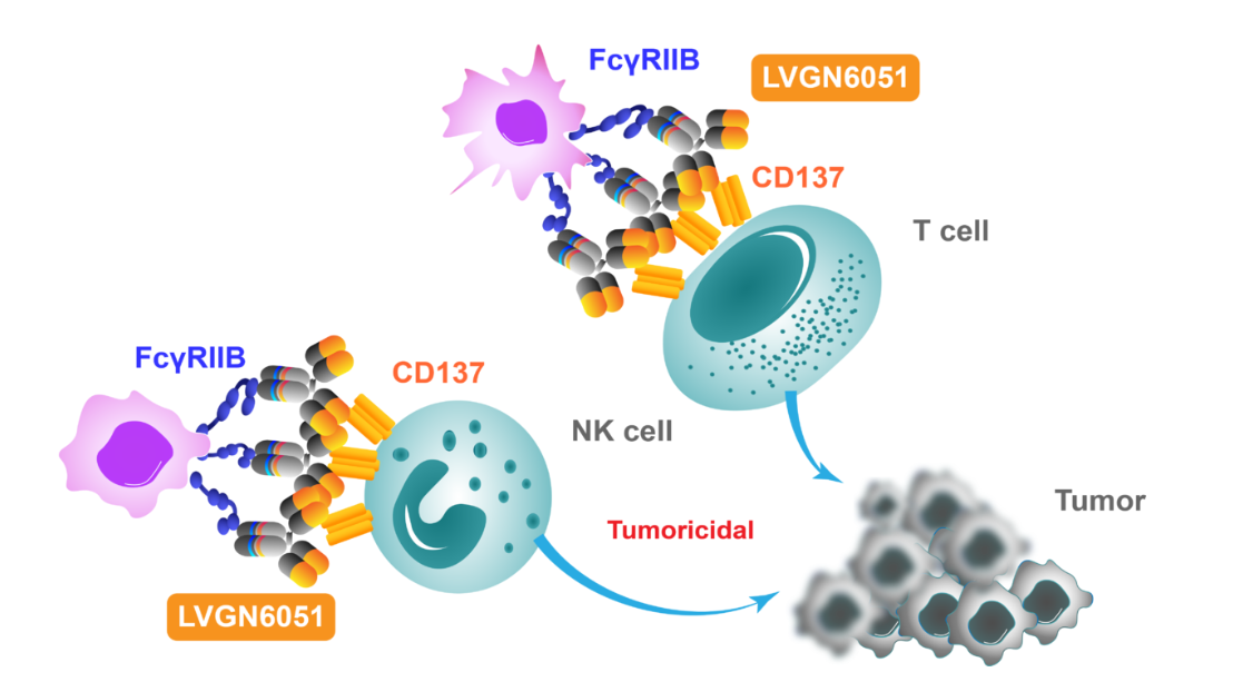 (Data source: Lyvgen Biopharma official website)