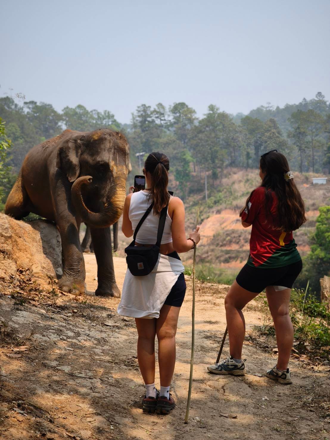 Things Most Visitors Get Wrong About Elephants