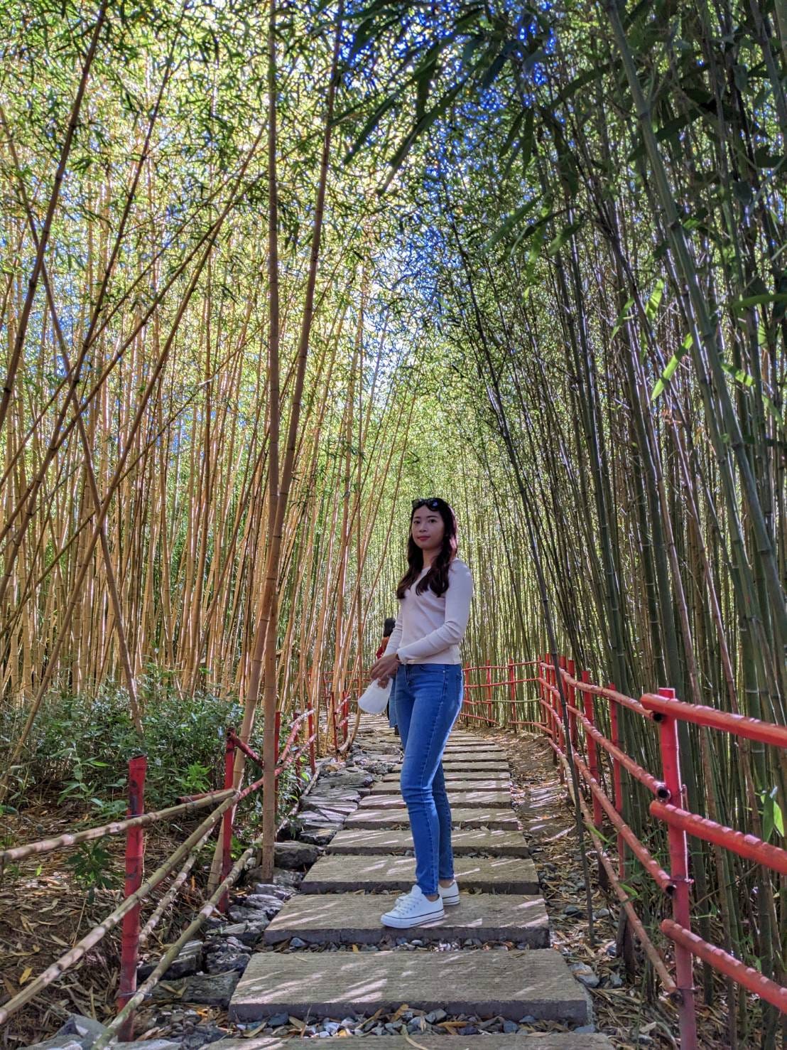 BAMBOO AND ME (BY MY BOYFRIEND)