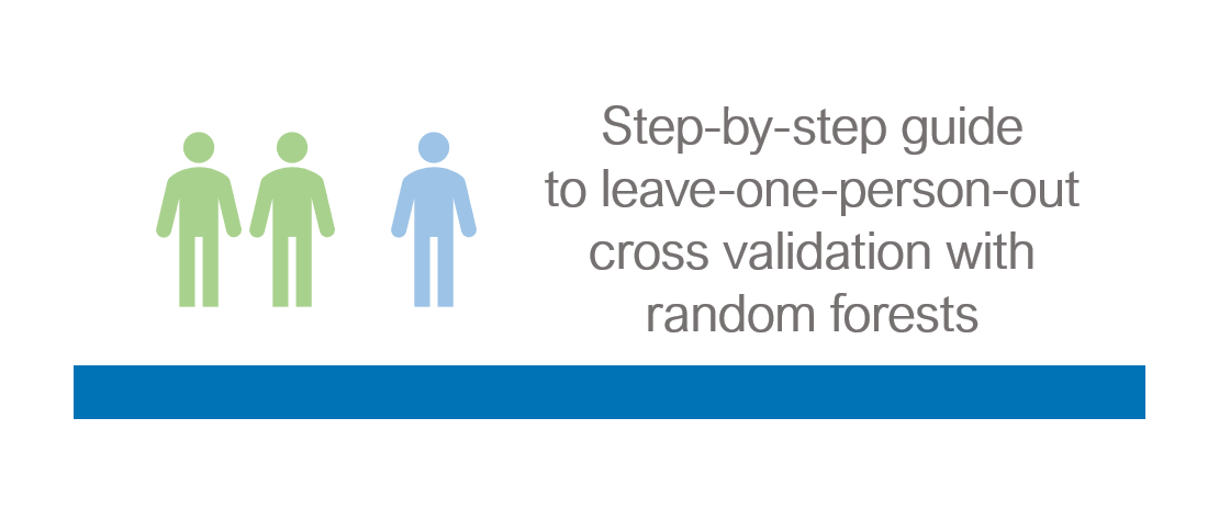 Step-by-Step Guide to leave-one-person-out Cross Validation with Random ...