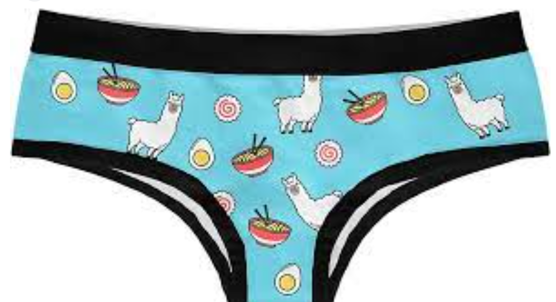 Hilarious and Playful Funny Underwear for Women by jonsnsowq1 Nov